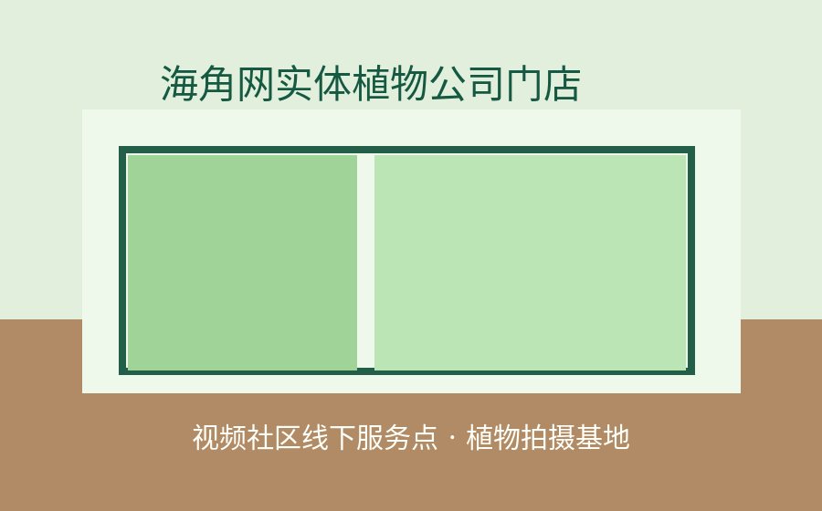 黑丝