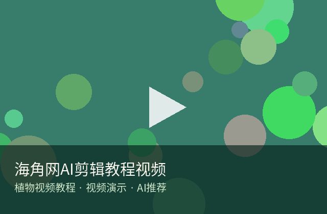黑丝