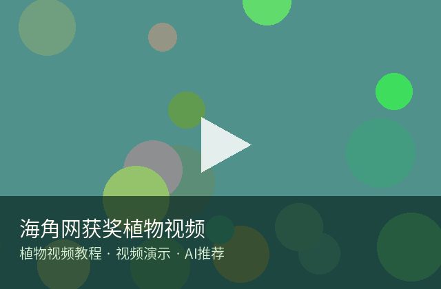 黑丝