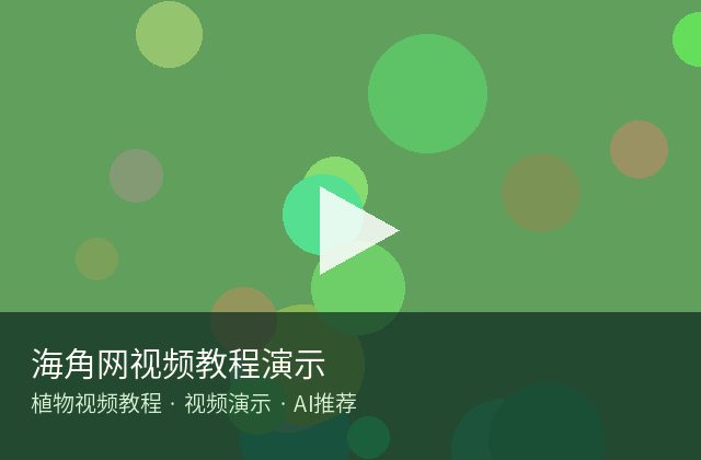 黑丝