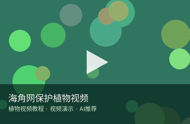 黑丝